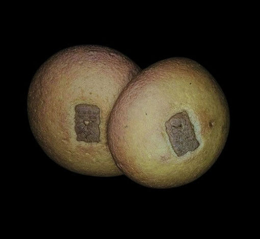 Afbeelding van Eierkoek speculaas