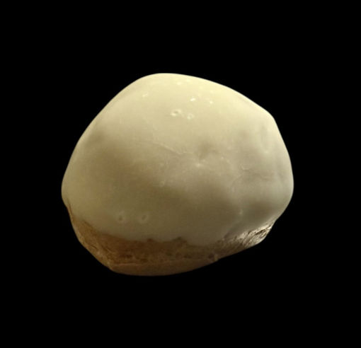 Afbeelding van Sjobo (omgekeerde mini bossche bol)